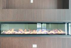 imgi_18_115_thome_drive50_992